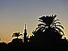 dsc02767.jpg